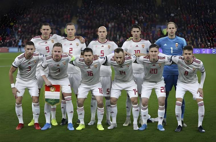 开云下载-匈牙利队战平劲敌，与对手搏斗至最后